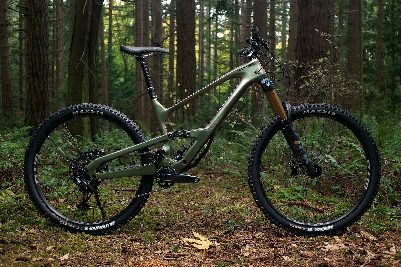 Cannondale jekyll online bike